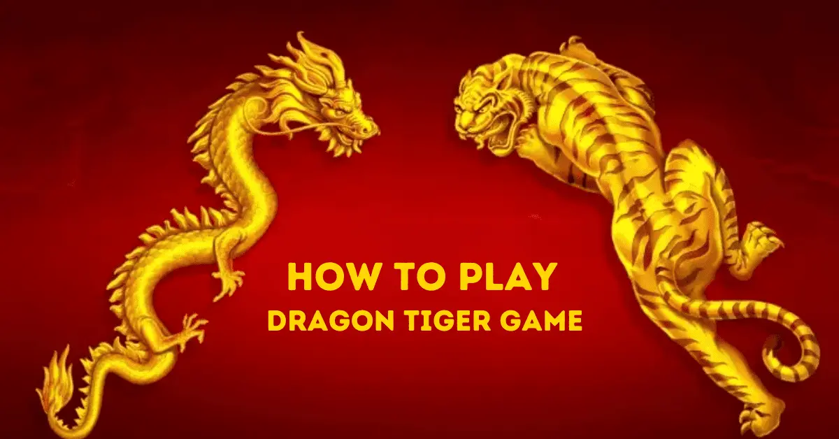 How to Play Dragon Tiger Casino Game