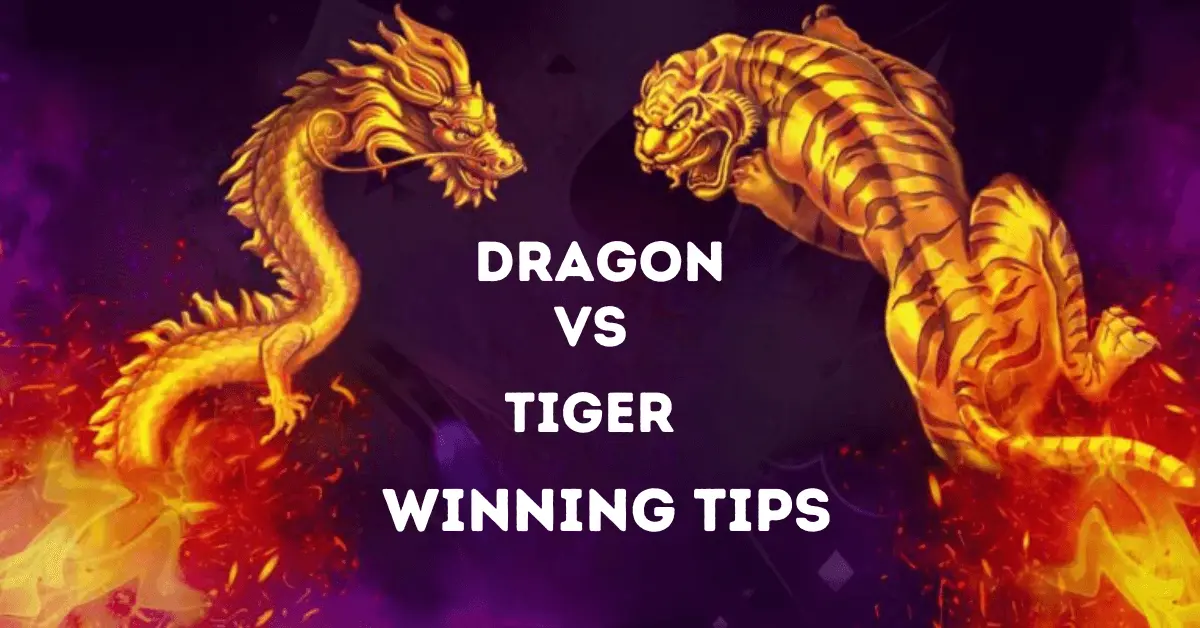 Dragon vs Tiger Game Winning Tips